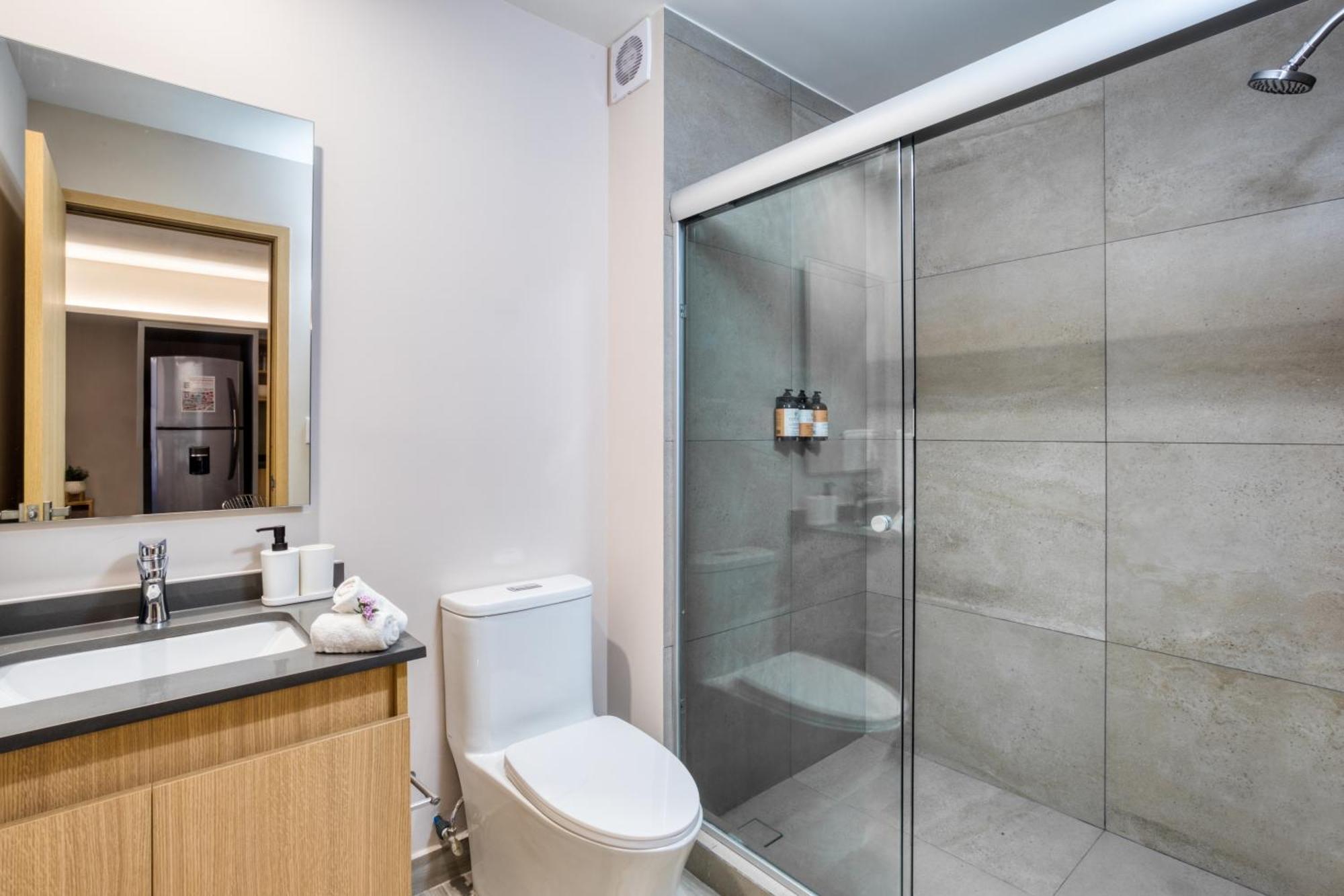 Uliv Parque Lincoln Apartment Mexico City Bilik gambar